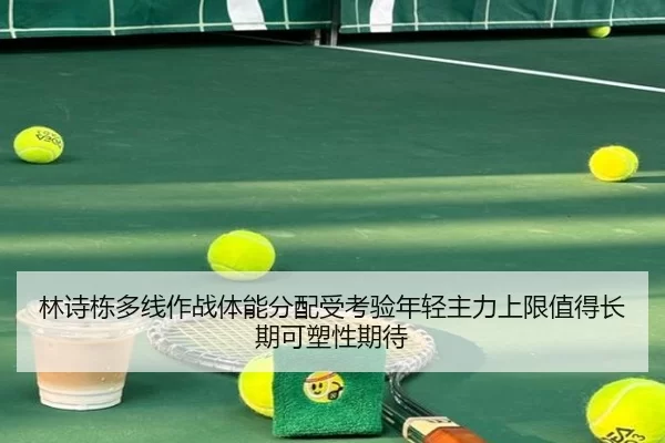 林诗栋多线作战体能分配受考验年轻主力上限值得长期可塑性期待