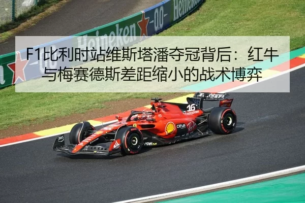 bi-li-shi-zhan-wei-si-ta-pan-duo-guan-bei-hou-hong-niu-yu-mei-sai-de-si-cha-ju-suo-xiao-de-zhan-shu-bo-yi-2-205.jpg